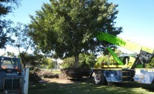 All Landscape Supplies Tree Lopping Kwikfynd